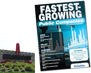 Public Cos. Return to Big Numbers