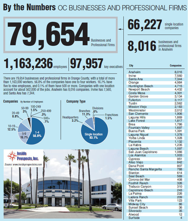 By the Numbers – OC Businesses and Professional Firms
