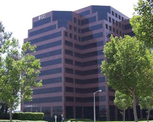 Environmental Consultants Tread Water in 2011