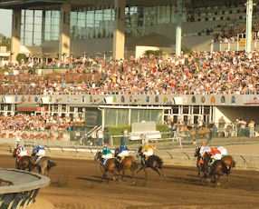 Los Alamitos Wants Thoroughbred Status