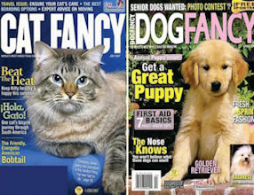 Fancy That: BowTie Inc. Sells Titles, Gets Tenant