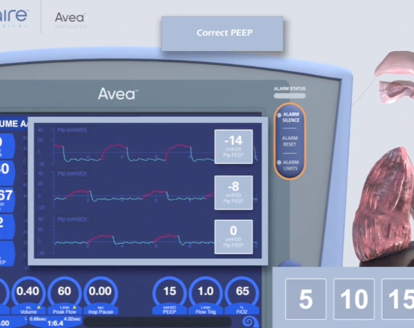 Software Firm Helps Train Hospitals on Ventilator Use